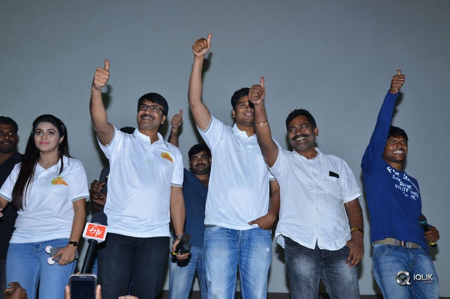 Jayammu-Nischayammu-Raa-Movie-Team-At-Satyam-Theatre